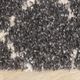 Kalora Interiors Lane Cream/Charcoal 5'x8' Area Rug-2