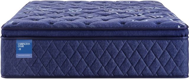 Sealy® Carrington Chase Spring Travelers Rest 15" Innerspring Soft Euro Pillow Top Queen Mattress-2
