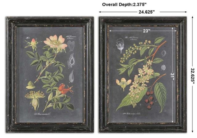 Uttermost® Vision Studio 2-Piece Midnight Botanicals Framed Prints Set-2