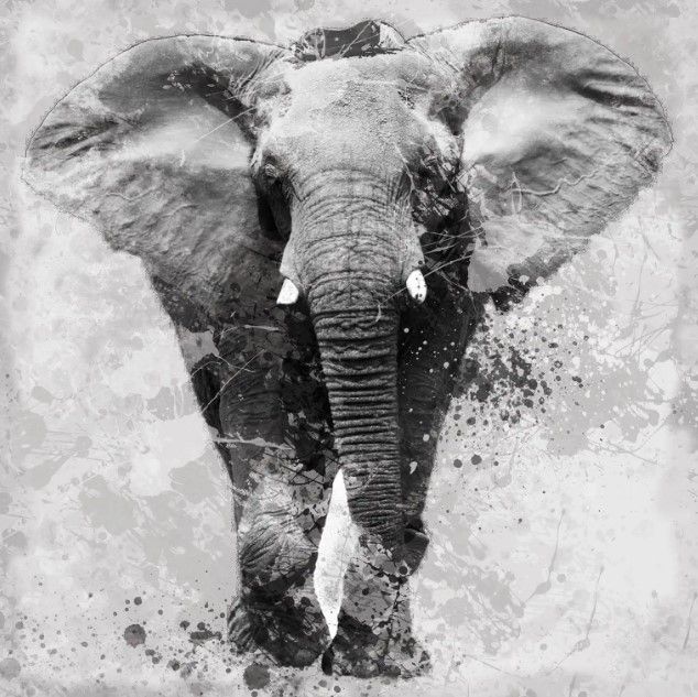 Classy Art Proud Elephant by Carol Robinson Wall Art-0
