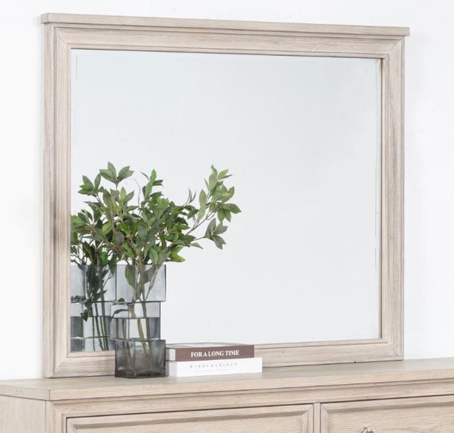 Coaster® Pembroke Washed Oak Dresser Mirror-4
