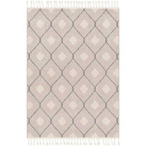Surya Restoration Taupe 5'x7' Area Rug-0