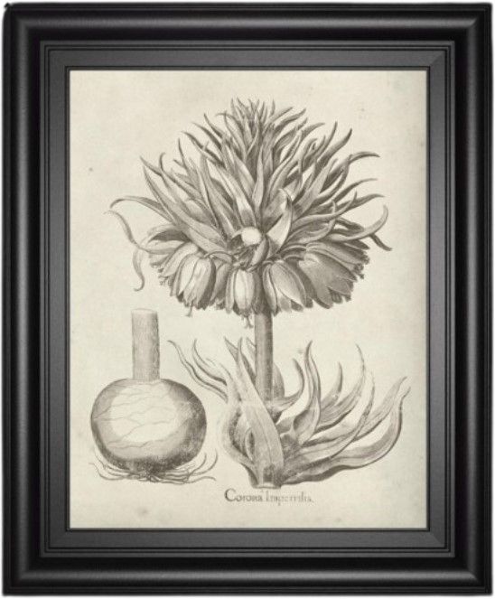 Classy Living Vision Studio Fresco Crown Imperial II Wall Art-0