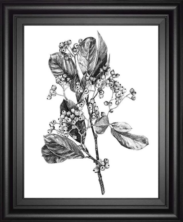 Classy Art Hawthorn Berry Branch II by Emma Scarvey Wall Art-0