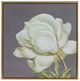 A & B Home 4-Piece Gold/White Flower Wall Art Prints Set-1