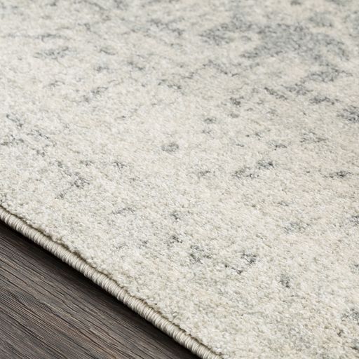 Surya Harput Gray 2'x3' Throw Rug-2