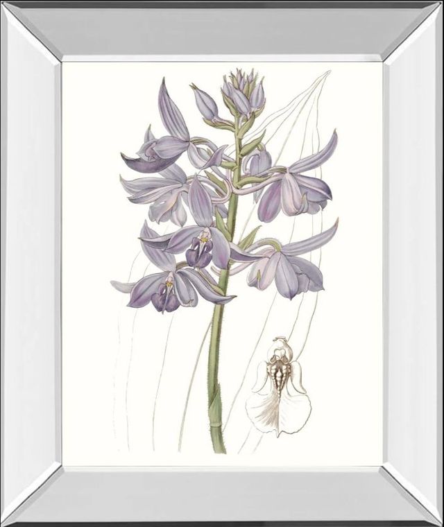 Classy Art Lavender Beauties III by Edwards Mirror Framed Wall Art-0