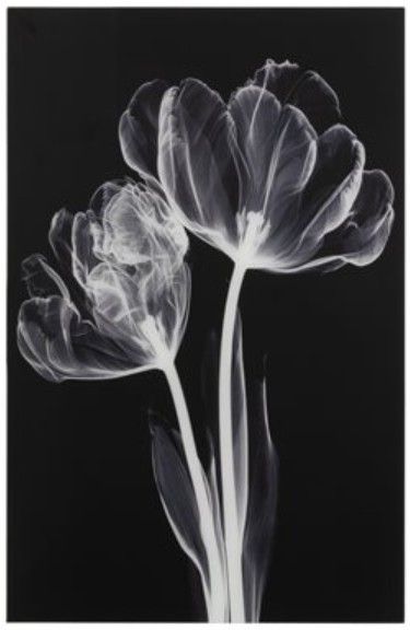 YHD Monochrome Bloom I Glass Art-0