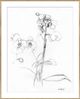 Magnolia Home by Joanna Gaines Orchid Drawing I Wall Art-0