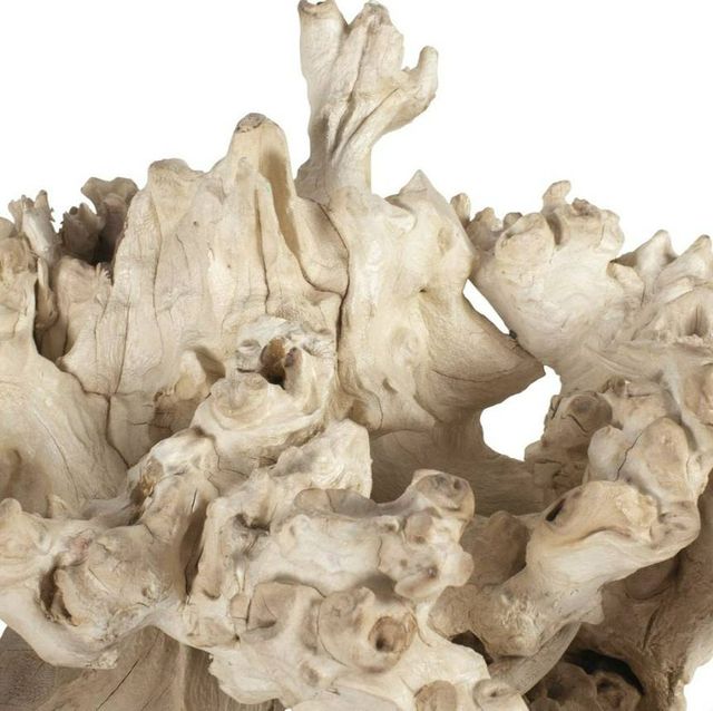 Uttermost® Elemental 2-Piece Bleached Root Indoor-Outdoor Sculpture Set-3