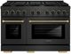 ZLINE Designer Collection 48" Black Satin Stainless Steel Pro Style Dual Fuel Range with 8 Burner Gas Cooktop-0