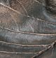 Signature Design by Ashley® Avermund Antique Copper Sculpture-4