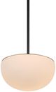 Renwil® Aditi Matte Black Pendant Light-2