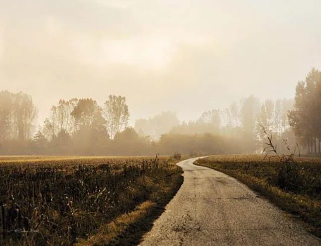 Classy Art Country Road by Susan Ball Wall Art-0