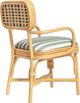 TOV Furniture Dorine Beige/Mint Green/Natural Dining Arm Chair-5