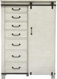 Magnussen Home® Chesters Mill Alabaster/Aged Iron Door Chest-1