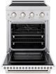 ZLINE Paramount 24" Satin Stainless Steel Pro Style Induction Range with White Matte Door-1
