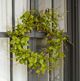Magnolia Home by Joanna Gaines Green Pips and Ivs Wreath-4
