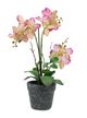 A & B Home Pink Real Touch Vanda Orchid with Cement Pot-3