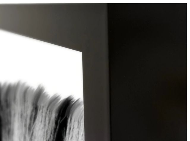 Classic Home Zebras Photography Wall Art-1