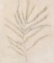 Stylecraft Beige/Brown Wall Art-1