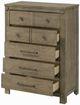 ACME Furniture Colton Antique White Oak Chest-4