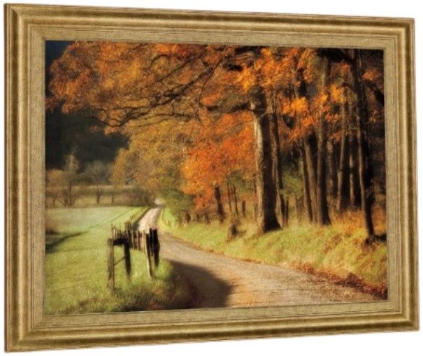Classy Living Amber Forest Pathway Wall Art-2