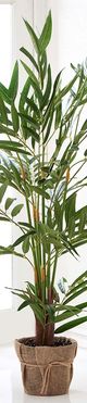 Giftcraft Brown/Green Decorative Tree with Planter-1