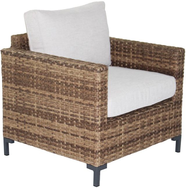 Plank & Hide Hanover Aluminum/Fabric/Wicker Outdoor Lounge Chair-0