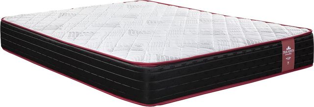 Springwall® Champlain Wrapped Coil Firm Twin Mattress-0