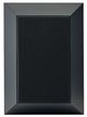 Focal® Theva 6.5" Black Surround Speaker-0
