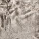Surya Innu Camel 50"x60" Throw Blanket-2