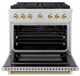 ZLINE Autograph Edition Paramount 36" 5.2 Cu. Ft. Stainless Steel Gas Range with 6 Burner DuoPro™ Cooktop and Convection Gas Oven with Champagne Bronze Helix Handle and Accents-1