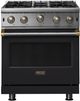 Viking® 5 Series 30" Onyx Pro Style Gas Range-0