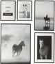 A & B Home Set of 5 Black/White Wall Art-0