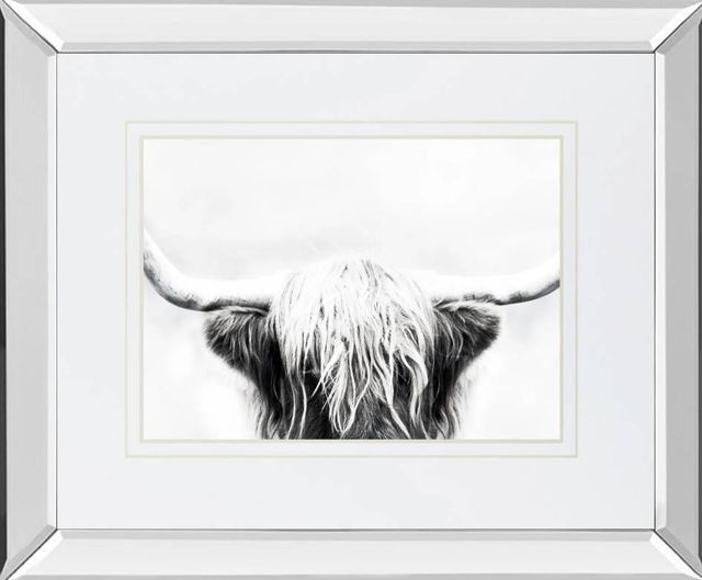 Classy Art Longhorn by Danita Delimont Mirrored Frame Wall Art-0