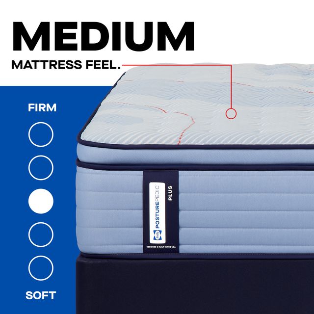 Sealy® Posturepedic® Plus Hagerstown 15" Wrapped Coil Medium Euro Pillow Top Queen Mattress-4