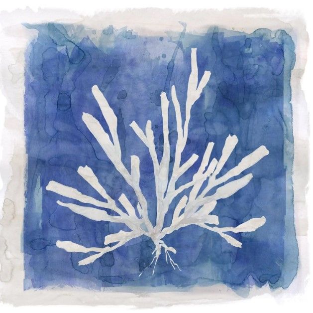 Classy Art Coastal Washes Coral I by Carol Robinson Wall Art-0