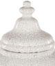Currey & Company Virginal Antique White Medium Jar-1