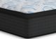 Ashley Sleep® Elite Springs 14" Wrapped Coil Plush Euro Top Queen Mattress in a Box-1