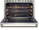 Wolf 36" Stainless Steel Pro Style Induction Range-2