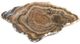 A & B Home Macias Brown Hand-Carved Zebra Onyx Bowl-0