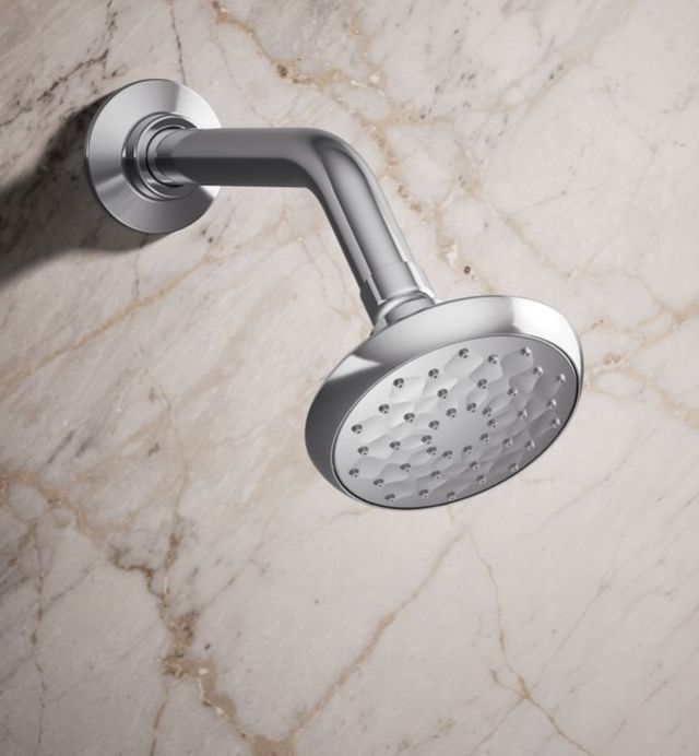 KOHLER® Awaken® B90 Polished Chrome 1.5 GPM Single-Function Handshower-1