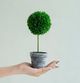 A & B Home 3-Piece Charcoal/Green Mini Faux Potted Boxwood Topiaries Set-3