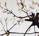 YHD A Simple Extension Wall Art-4