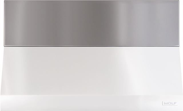 Wolf® Stainless Steel Outdoor Pro Wall Hood Duct Cover-0