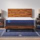 Sealy® Carrington Chase Erie 7" Foam Medium Firm Tight Top Queen Mattress-2