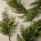 Magnolia Home by Joanna Gaines Green Real Touch Cedar Mix Wreath-2