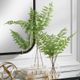 Uttermost® Country 2-Piece Green Fern Set-1