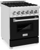 ZLINE Legacy 24" Stainless Steel Pro Style Dual Fuel Range with 4 Burner Gas Cooktop, Electric Convection Oven and Black Matte Door-2